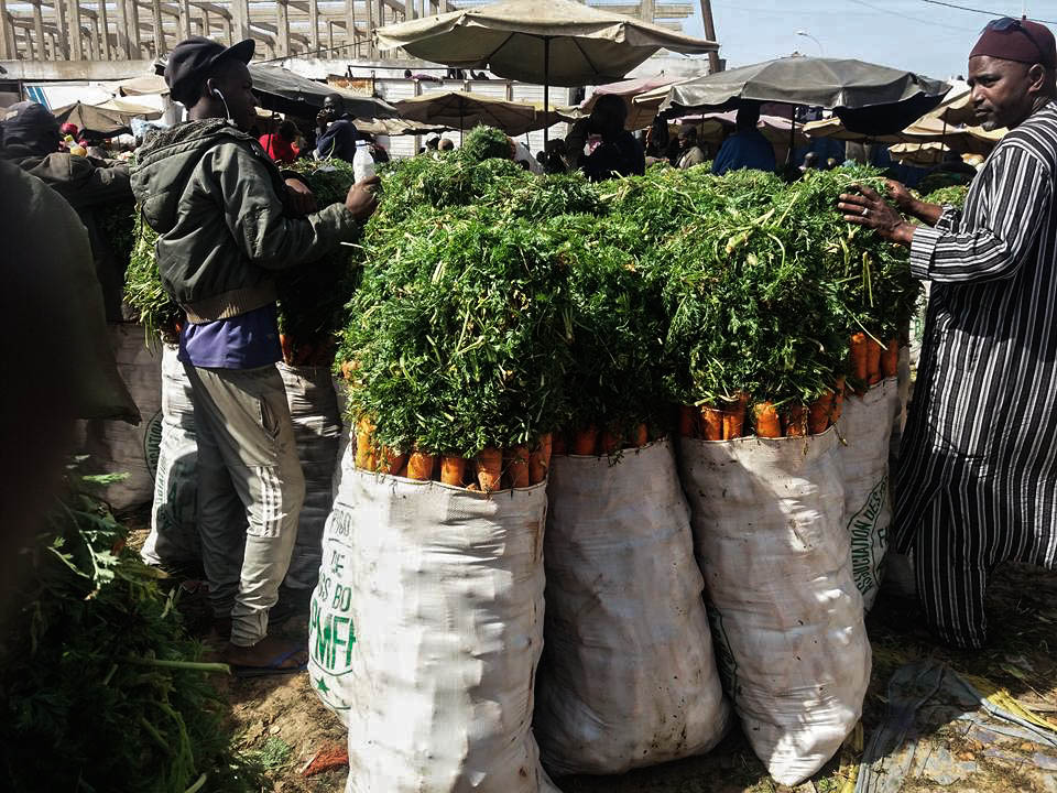 Les produits vendus au détail sur les marchés sont importés des zones rurales, comme la zone des Niayes, l'une des plus productives du pays, située dans le nord-ouest du Sénégal
