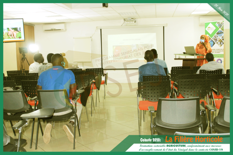 Appel à candidature pour la promotion 2021 du PSEJ