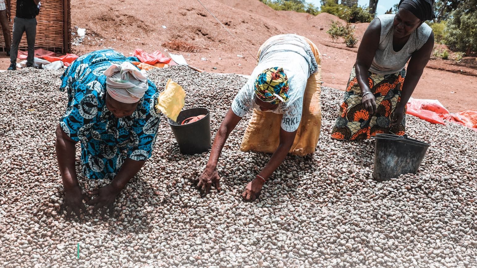 DER- Lancement du Projet d’Appui et de Valorisation des Initiatives Entrepreneuriales (PAVIE)