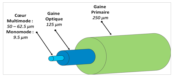 Figure 3 : Configuration d’une fibre optique générique avec son cœur, sa gaine optique et sa gaine primaire.