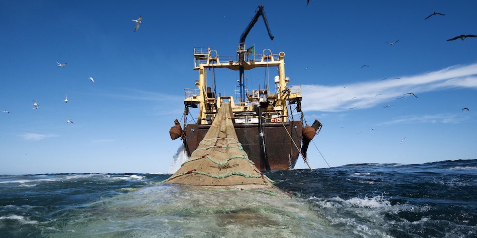 Exclusif- La Mauritanie devient le 1er pays de l'Afrique de l'Ouest et du Monde arabe à adhérer à la FITI