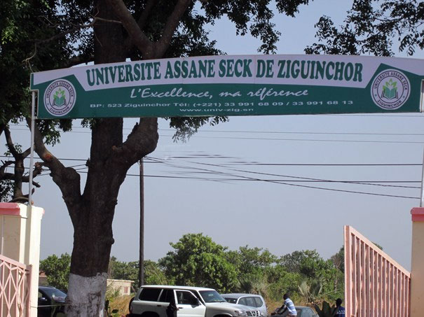 UASZ:  Amicales d’étudiants et travailleurs contre le ministre Cheikh Oumar Anne
