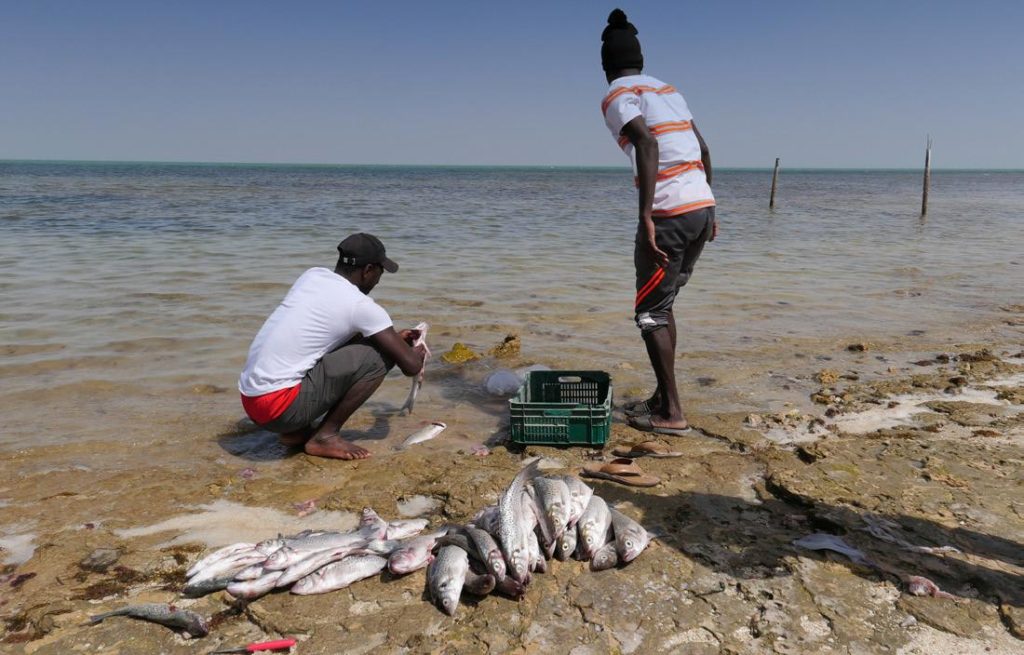Le PRCM met en exergue ses efforts dans la  Promotion de la pêche durable ( rapport)