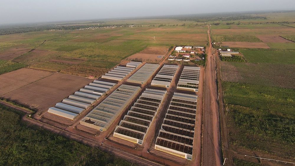 Tysilio inaugure une station solaire près de Sédhiou sur le site du PRODAC de Sefa