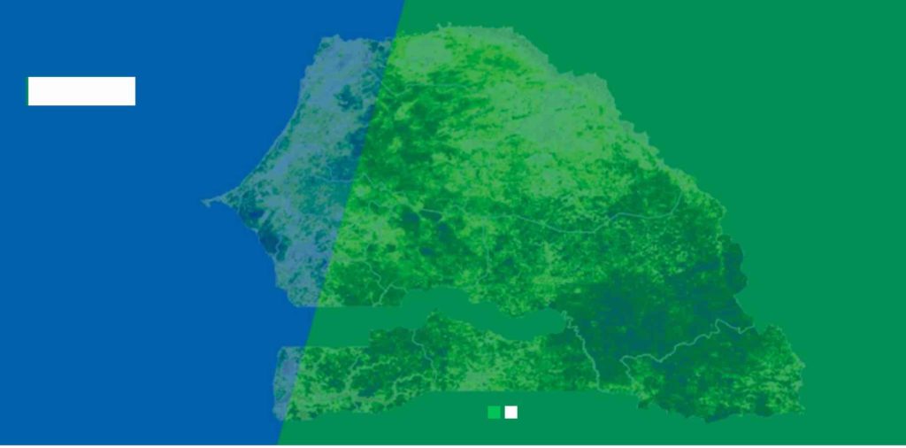 indicateurs de performance de la protection sociale