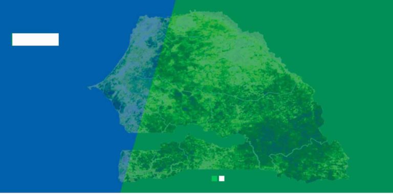 indicateurs de performance de la protection sociale