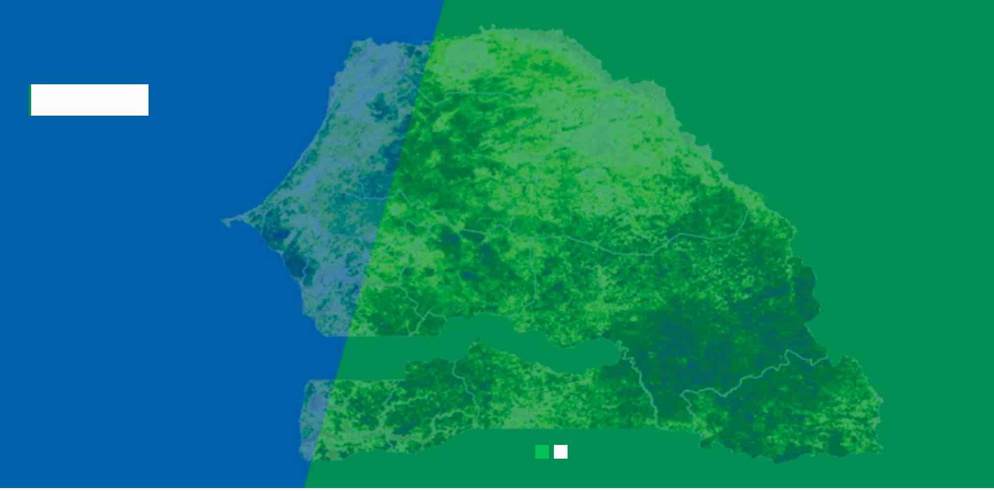 indicateurs de performance de la protection sociale