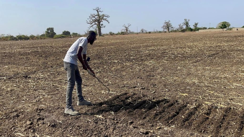 Programme «100 Jeunes Espoirs»  : A la découverte de Bocar Sène, l'ingénieur agronome qui parle aux parlent