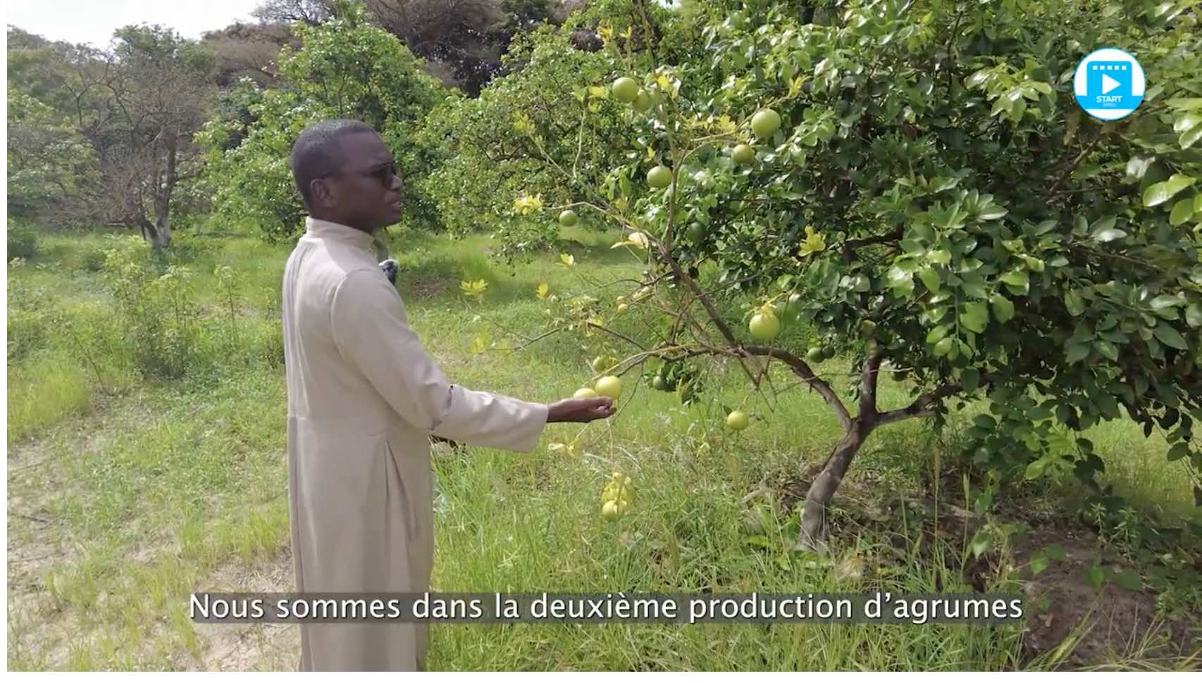 grand séminaire Libermann de Sébikotane