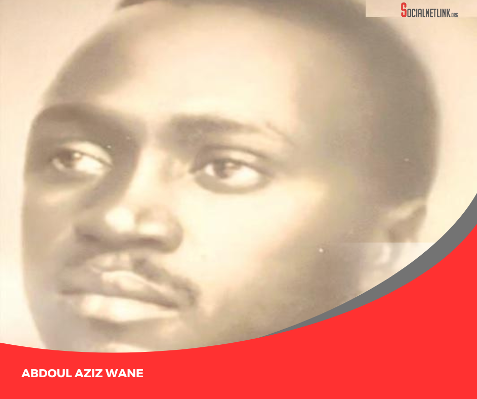 Abdoul Aziz Wane, parcours d’un brillant esprit