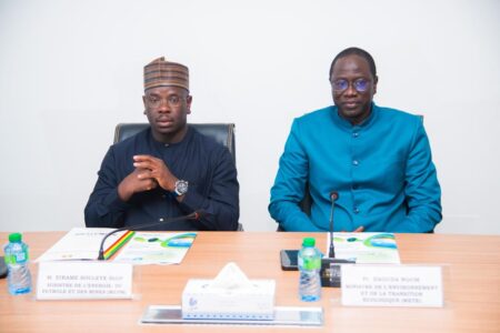 Énergies renouvelables : le Sénégal appelle à une transition accélérée en Afrique