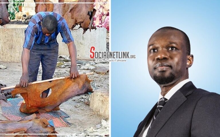 Filière peaux et cuirs : le gouvernement vise 130 000 emplois et 1 549 milliards de F CFA d'ici 2034