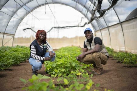 La Fondation Mastercard crée un fonds de dotation pour former des leaders africains de l’agriculture